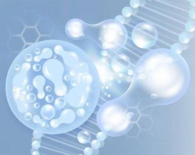 סיבים פרהביוטיים