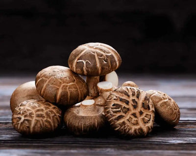 פטריות שיטאקי